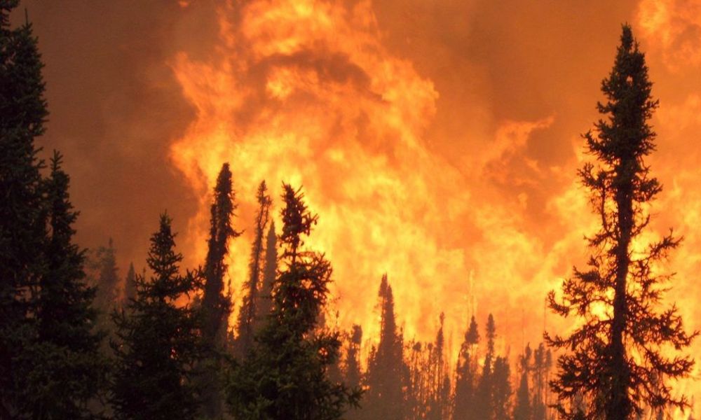 Toplink Innovation obtient la double labellisation du projet FIRE