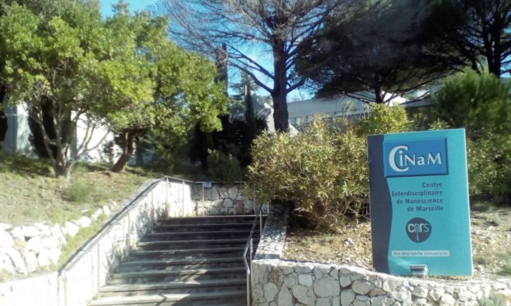 Toplink Innovation : une expertise en termes d'environnement collaboratif et d'organisation