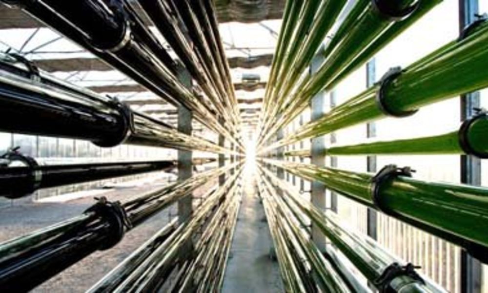 Toplink Innovation accompagne Microphyt au cours du processus de renforcement de ses fonds propres